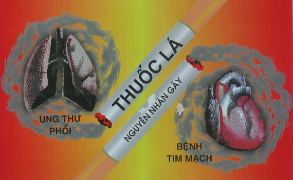 Thuốc lá – “sát thủ thầm lặng” đe dọa sức khỏe cộng đồng