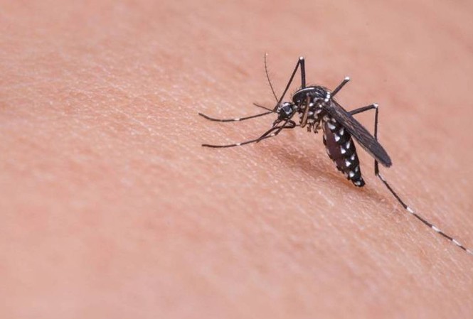 Người dân cảnh giác đề phòng muỗi đốt phòng chống sốt xuất huyết