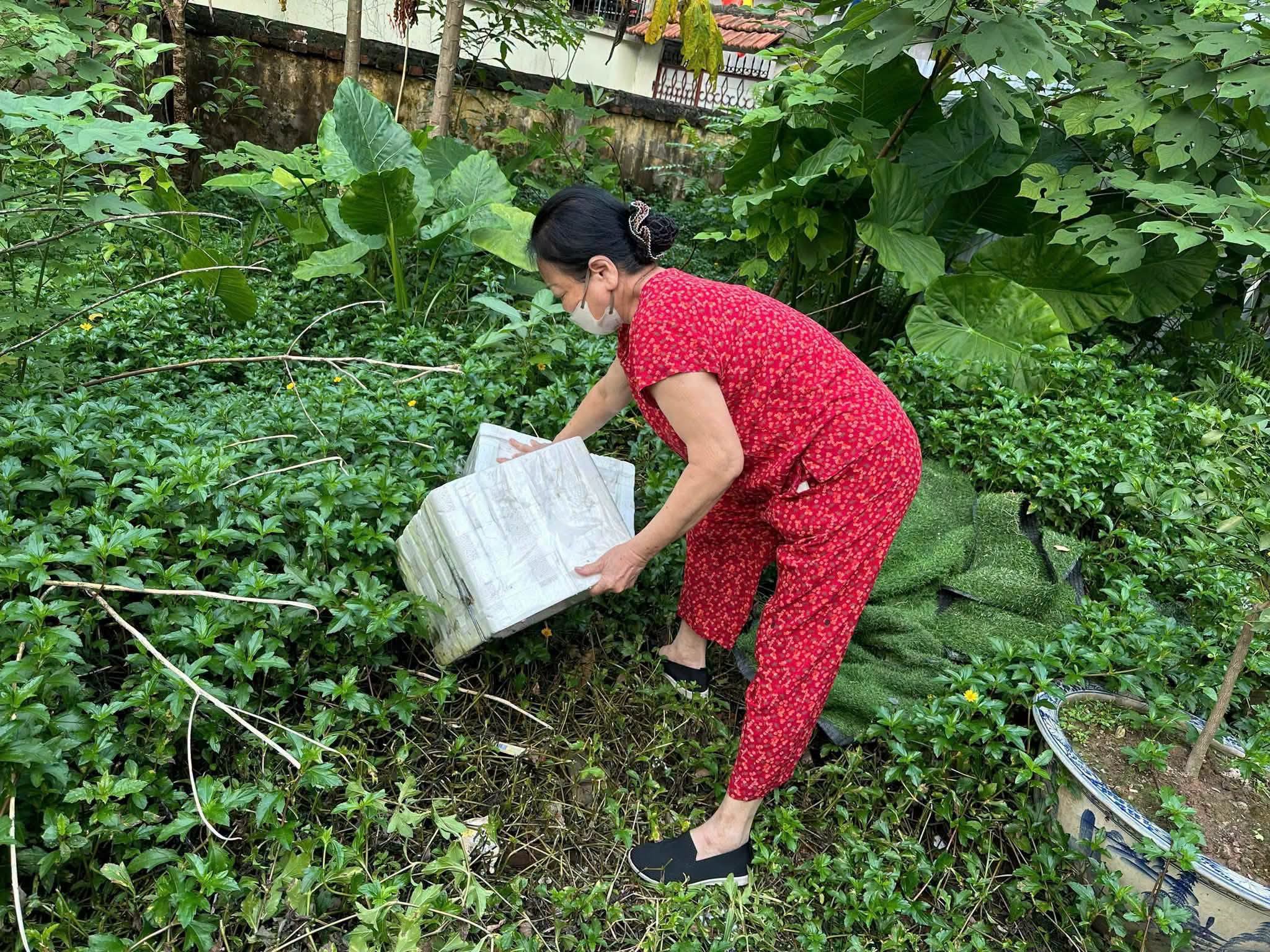 Tình hình dịch bệnh trên địa bàn thành phố Hà Nội từ ngày 4/9 đến ngày 11/9
